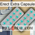 Erect Extra Capsule 29